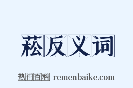 菘反义词是什么意思的图片